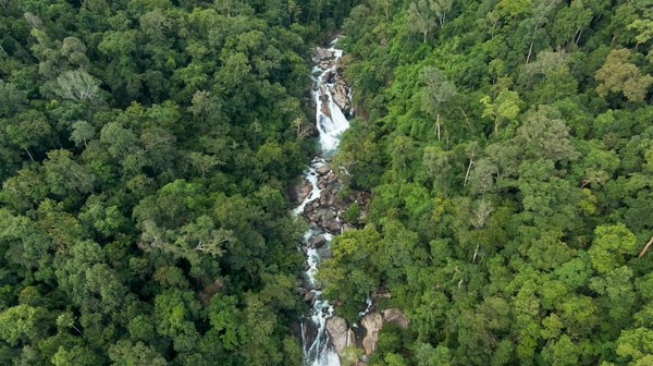 Devenir magnétiseur à lyon : une formation riche et diversifiée
