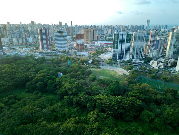 Les objets courants les plus nocifs pour l'environnement : découvrez les principaux pollueurs du quotidien