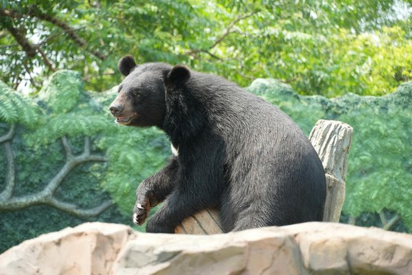 Épopée Magique : Explorez les Mondes Fascinants des Romans Fantasy